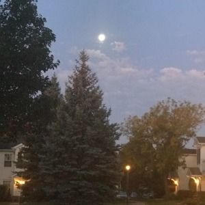 Meet your Posher, Por